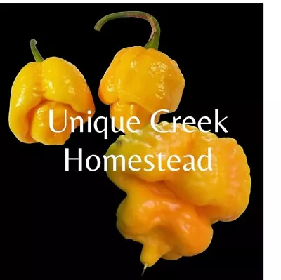 Trinidad Moruga Scorpion Yellow Pepper Seeds SUPER HOT 1.5-2+ Million Scoville • $6.95