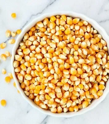 £7.99 • Buy POPPING CORN For Pan Or Machine Maker Maize Seeds Popcorn Kernels 1kg 500g 2kg 
