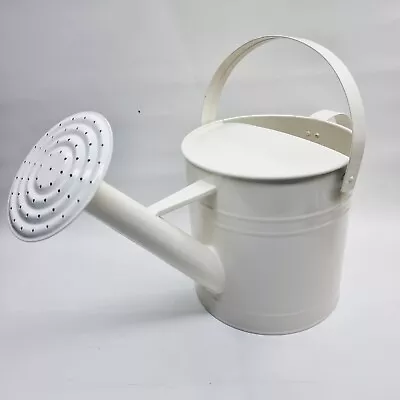 Watering Can 2 Handles 4.2L Capacity Indoor / Outdoor With Rose Metal • £12.99