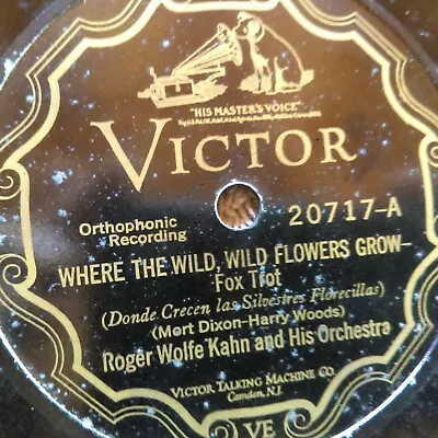 78 Rpm Victor 20717 Roger Wolfe Kahn Where Wild Flowers Grow Calling Jazz V • $19.99