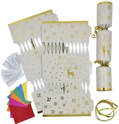 Christmas Cracker Kit 6 Make Your Own Crackers Hats Jokes GOLD DEER  • £4.99