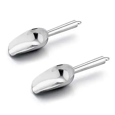 2 Pack 3oz Stainless Steel Mini Ice Scoops Set For Ice Cube Flour Sugar • $17.99