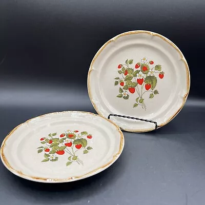 2 Vintage Sunmarc La Fraise Strawberry Endura Collection Salad Plates 8  Japan • $12.99