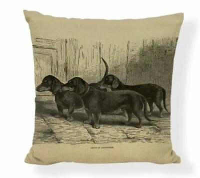 £7.95 • Buy  Dachshund Dog Puppy  Vintage Etching Drawing Painting  Cushion Cover Sausages