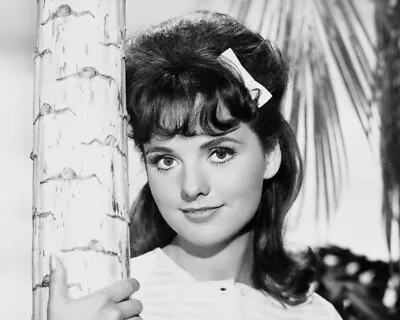 8x10 B&W Photo Of Legendary Actress Dawn Wells. • $6.99