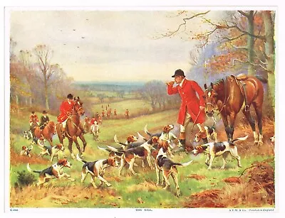 Vintage Art Print Fox Hunting English Horse C1930 Vivian Mansell Dogs Foxhound K • $11.95