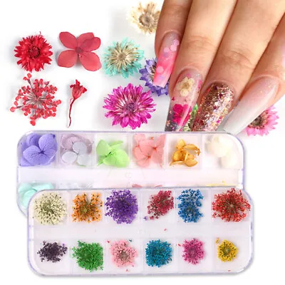 Real Dried Flowers 3D Nail Art Decor Design DIY Tips Manicure Accessories Retro • £9.73