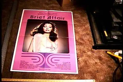 Brief Affair  Orig Movie Poster Sexploitation Annette Haven • $70