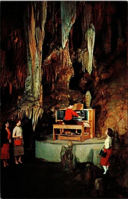$1.75 • Buy Great Stalacpipe Organ Cavern Luray Virginia VA VTG Postcard UNP WOB Vintage