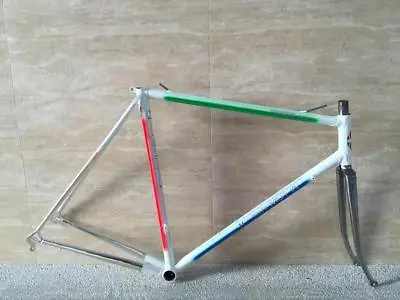 Italian Vintage Gianni Motta Personal 2001R Steel Frameset 55cm • $1450