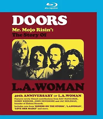 Mr Mojo Risin'S [Blu-ray] • $23.96