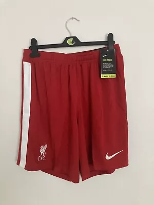 £20 • Buy BNWT Liverpool Home Shorts 20/21. Size Large Mens. FREE & FAST Delivery.