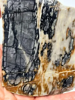 Picasso Marble (Jasper) Rough Slab Cabbing Lapidary Reiki Chakra Utah • $17