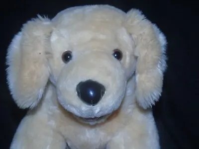 Beautiful Build A Bear White Golden Retreiver Puppy Dog Plush Teddy BAB Soft Toy • £10