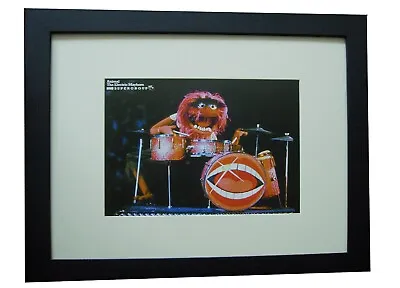 Animal+muppet Show+photo+picture+poster+ad+rare+original Nme+framed+world Ship • $86.26