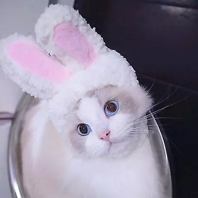 Headwear Rabbit Ears Dress Up Headdress Hat Accessories Pet Costume For • £4.52