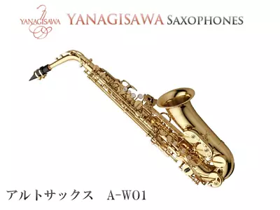 Yanagisawa A-WO1 Alto Saxophone A WO1 With Case New In Stock • $2688.99