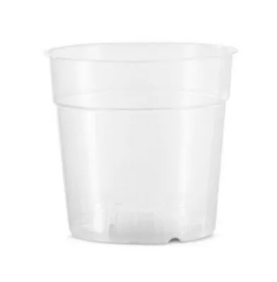 $21.90 • Buy 120mm Clear Pots X 10pcs - Great For Plant / Phalaenopsis / Orchids From Germany