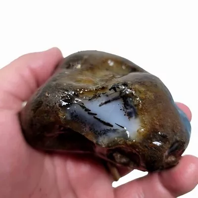 Rare Old Stock Montana Agate Rough Chunk! • $49.99