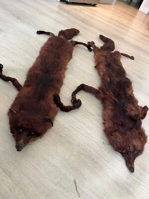 £25 • Buy Vintage Pair Of Red/brown Fox Real Fur Wrap Shawl Stole 1.29m Length