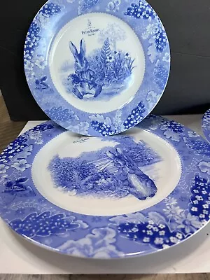 Set Of 4 Beatrix Potter Blue Peter Rabbit 2-8  Salad And 2 - 10” Dinner Plates • $65