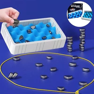 Puzzle Game Magnetic Effect Chess Plastic Interactive Board Game • $24.99