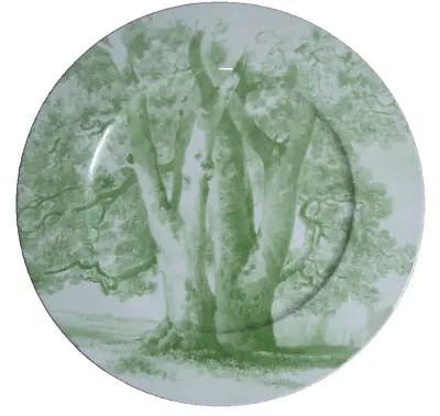 Villeroy & Boch  PARKLAND GREEN” Service Plate/Charger~12 In. • $48