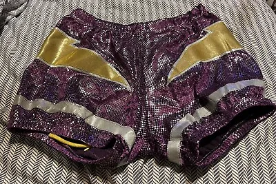 Pro Wrestling Tights Trunks Bikers Shiny Purple Gold Silver WWE AEW ROH • $70