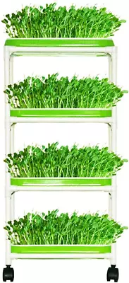 4 Layers Sprout Trays With Extra Strength Plastic Shelf Soil-free Healthy Wheatg • $37.02