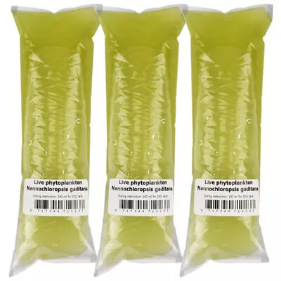 10 (ten) X 100 Ml Sealed Bags Of Live Marine Phytoplankton • £18.96