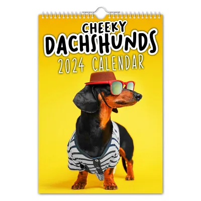 Cheeky Dachshunds 2024 Calendar Cute Funny Dogs Wall Calendar Home Decor Gifts. • £7.40