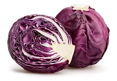 Vegetable - Cabbage - Red Drumhead - 400 Seeds - Economy • £2.05