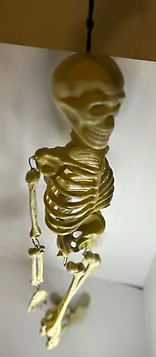 3ft/36” Halloween Party Decoration Full Life Size Props Poseable Human Skeleton • $19.99