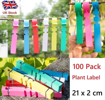 UK Seller 100 Pack Loop Lock Garden PVC Plant Self Tie Label Tags Waterproof • £4.99