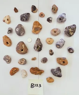 30 X Rare Natural Hag Stones. Pagan/wicca/wishes/holey/lucky Stones   ..  B123  • £11.99