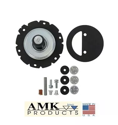 1967-1971 Mustang Carter Fuel Pump Rebuild Kit Boss 302 429 428CJ 429CJ AFP-67 • $55.95