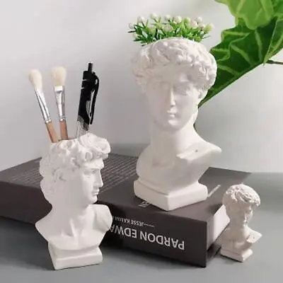 3d Large Sculpture Silicone Molds Concrete Bowl Face Cement Flowerpot Home Pot • $17.49