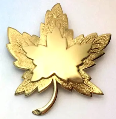 Vtg Monet Leaf Brooch Pin Gold Tone Metal Signed • $14.78