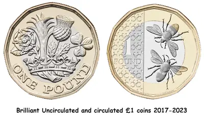 2017 - 2024 £1 One Pound Coin + New Bees Coin Brilliant Uncirculated /circulated • £3.45