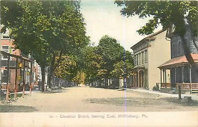 Postcard 1908 Pennsylvania Mifflinburg Chestnut East Bergex Prowell PA24-3612 • $7.99