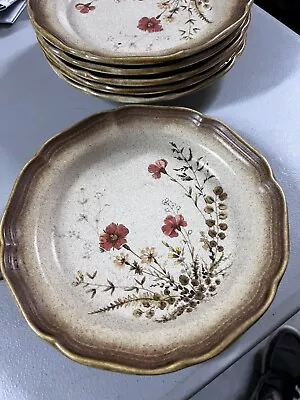 Mikasa Whole Wheat Jardiniere Pattern Salad Plate Set Of 6 Stoneware Vintage • $40