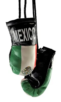 Mini Boxing Gloves MEXICO Country Pride National Flag MMA Car Mirror Décor • $5.49