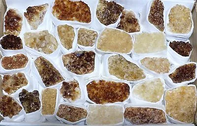 Citrine Crystal Druzy Large Box Flat Clusters Wholesale Bulk Lot Rough Gemstones • $42.48