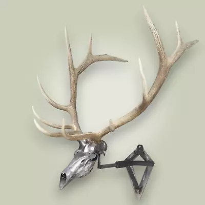 STEEL HANDCRAFTED SKULL Shed Antler European Antler Mount 6x6 Bull Elk  L@@K! • $2200