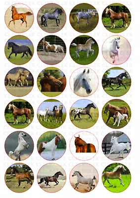 24x Horses & Ponies Edible  Cupcake Toppers Decorations WAFER Rice Cake Pre -Cut • £2.90