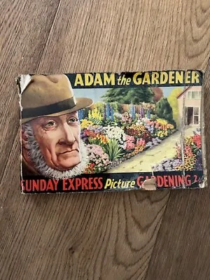 Adam The Gardener Sunday Express Picture Gardening 1954 • £2.99