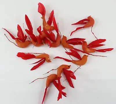 12 Piece Vintage Miniature Bird Decor Reddish Orange Feathers Ornaments Mini • $9.98