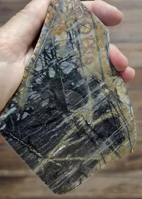 Exquisite Large Picasso Marble Jasper Slab / Polished On 1 Side/THICK/Stunning!! • $27.99