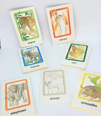Vintage Animal Flash Cards - Animal Facts Cards • $10