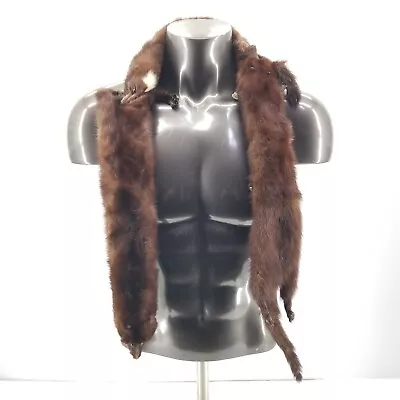 Vintage Hess's Genuine Mink Fur Stole Wrap Scarf W/  3 Full Body Pelts • $56.89